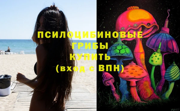 мдпв Горняк