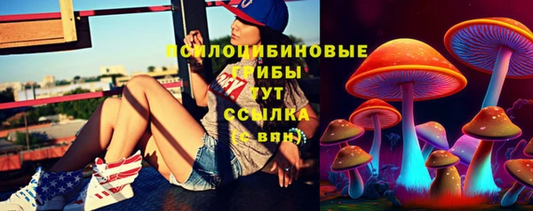 мдпв Горняк