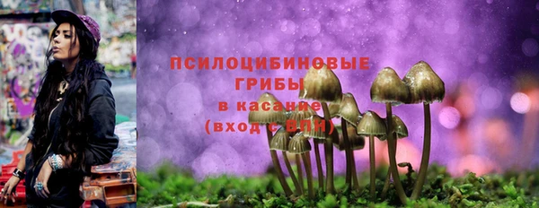 мдпв Горняк
