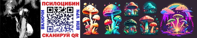 Псилоцибиновые грибы Psilocybine cubensis  Сургут 