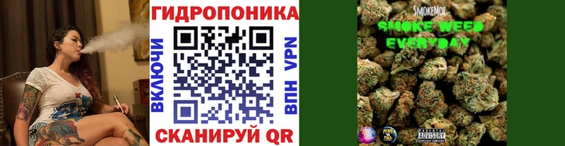 hydra tor  Сургут  Шишки марихуана семена  купить наркотики цена 